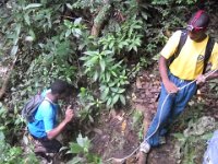 ncsc 2012 142r
