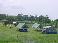 13 cj 08 08 051