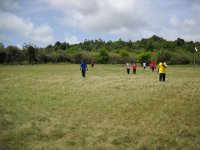 14 cj 07 04 020r