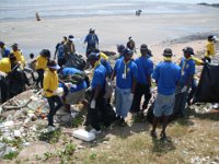 Beach Cleanup