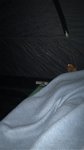 IMG-20170720-WA0004