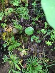 IMG-20170724-WA0020