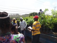 Ministry of Agriculture Tree Planting Project