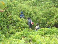 bd ldr hik 2012 029r