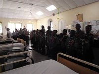 bd sct cmp 2014 185