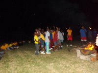 bd sct cmp 2014 305