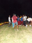 bd sct cmp 2014 337