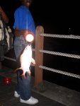 bd sct fish 2012 038r
