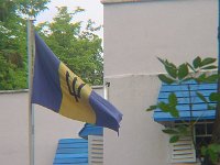 centenary camp 113