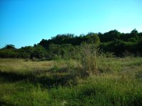 sct cmp 2006 03 29 005