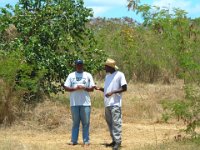 sct cmp 2006 04 04 082