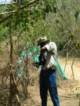 sct cmp 2006 04 04 084