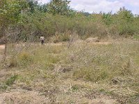 sct cmp 2006 04 04 086g