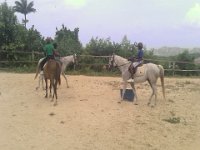 ncsc 2012 513r