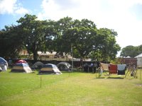 ncsc 2012 384r