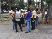 Pre-Cuboree Activities