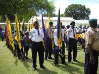 pro scout 2009 133r