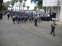 pro scout 2012 068r
