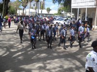 pro scout 2012 079r