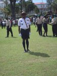 pro scout 2014 403