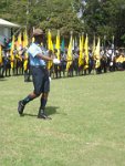 pro scout 2014 447