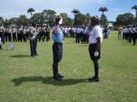 pro scout 2014 450