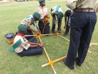 pro scout 2014 458