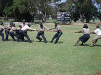 pro scout 2014 466