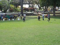 pro scout 2014 475